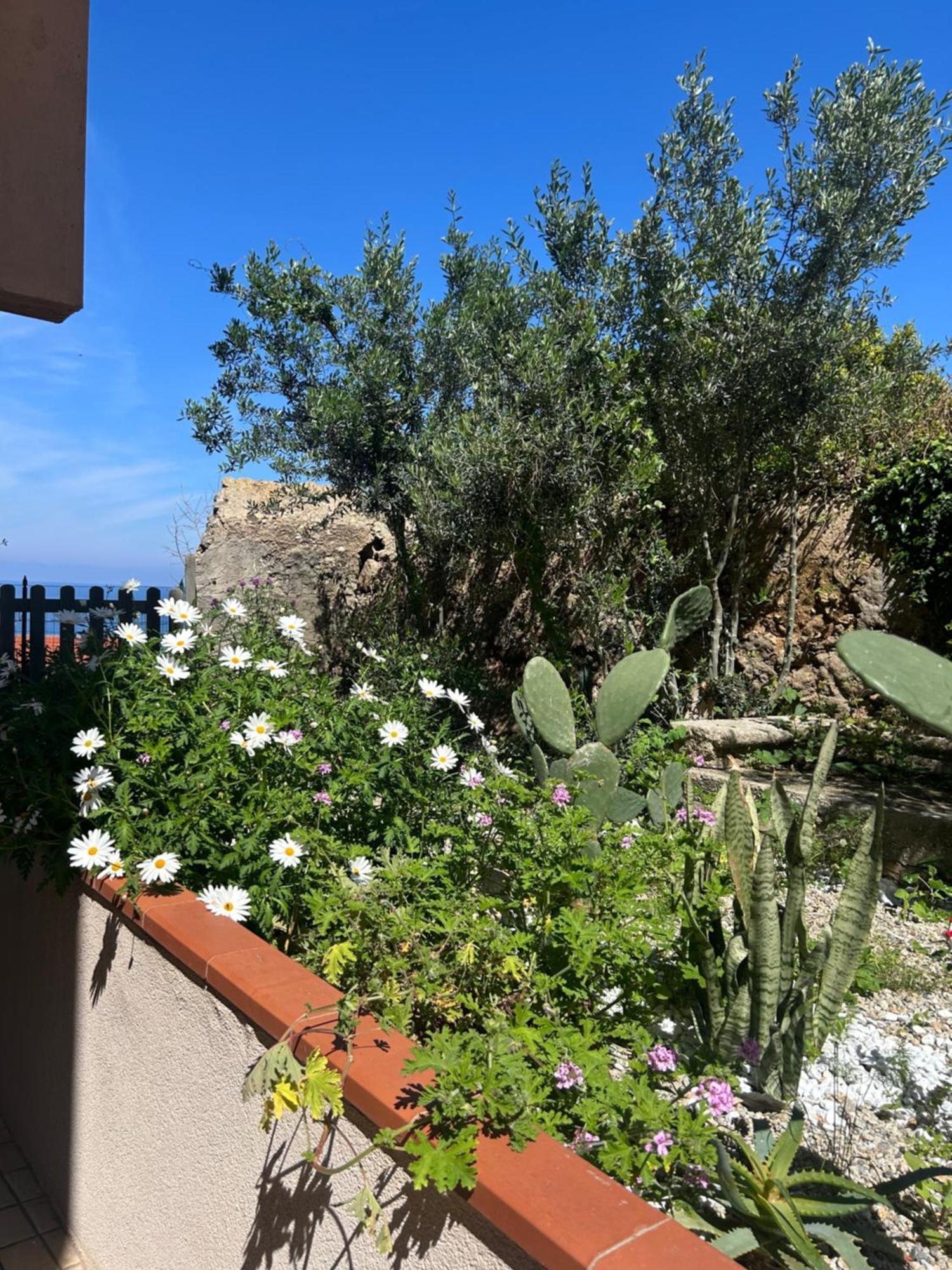 Arcobaleno Tropea Centro Bed and Breakfast Exteriör bild